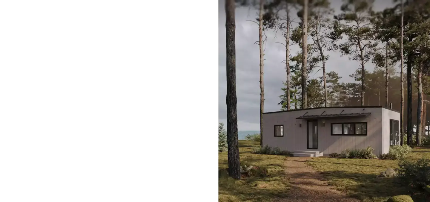 Minimal house in forest clearing with path and tall trees, Best 3D Rendering Companies In Germany