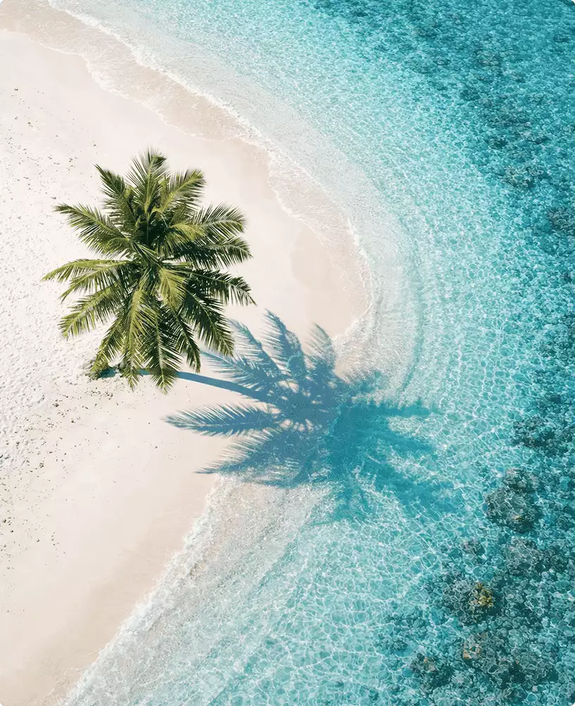 Aerial 3D rendering for hotel marketing shows a palm tree on white sand beside clear turquoise water