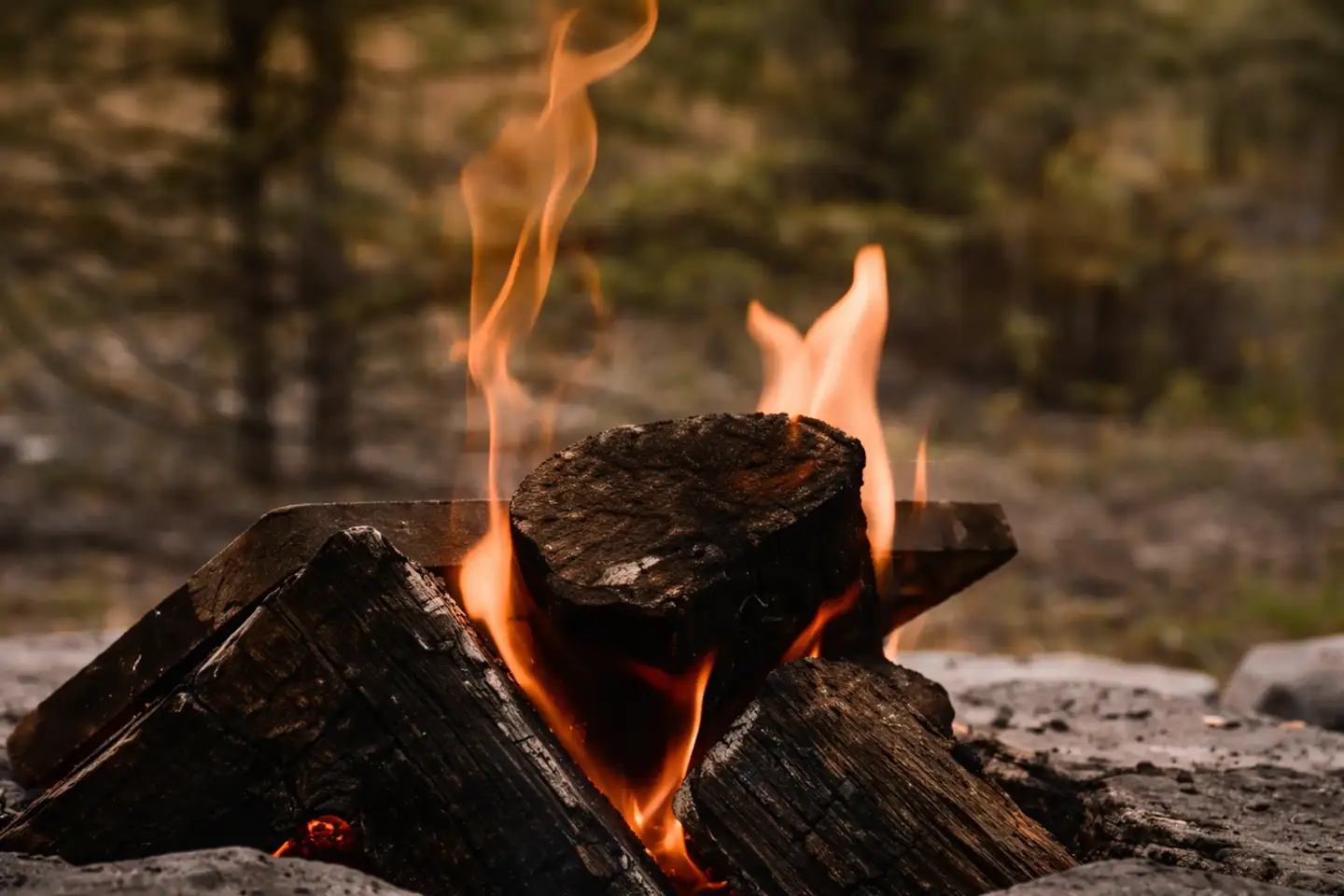 CGI vs AI: Choosing the Right Visual Strategy for Marketing Campaigns burning campfire logs with orange flames in forest setting, cgi vs ai difference between cgi and ai comparison