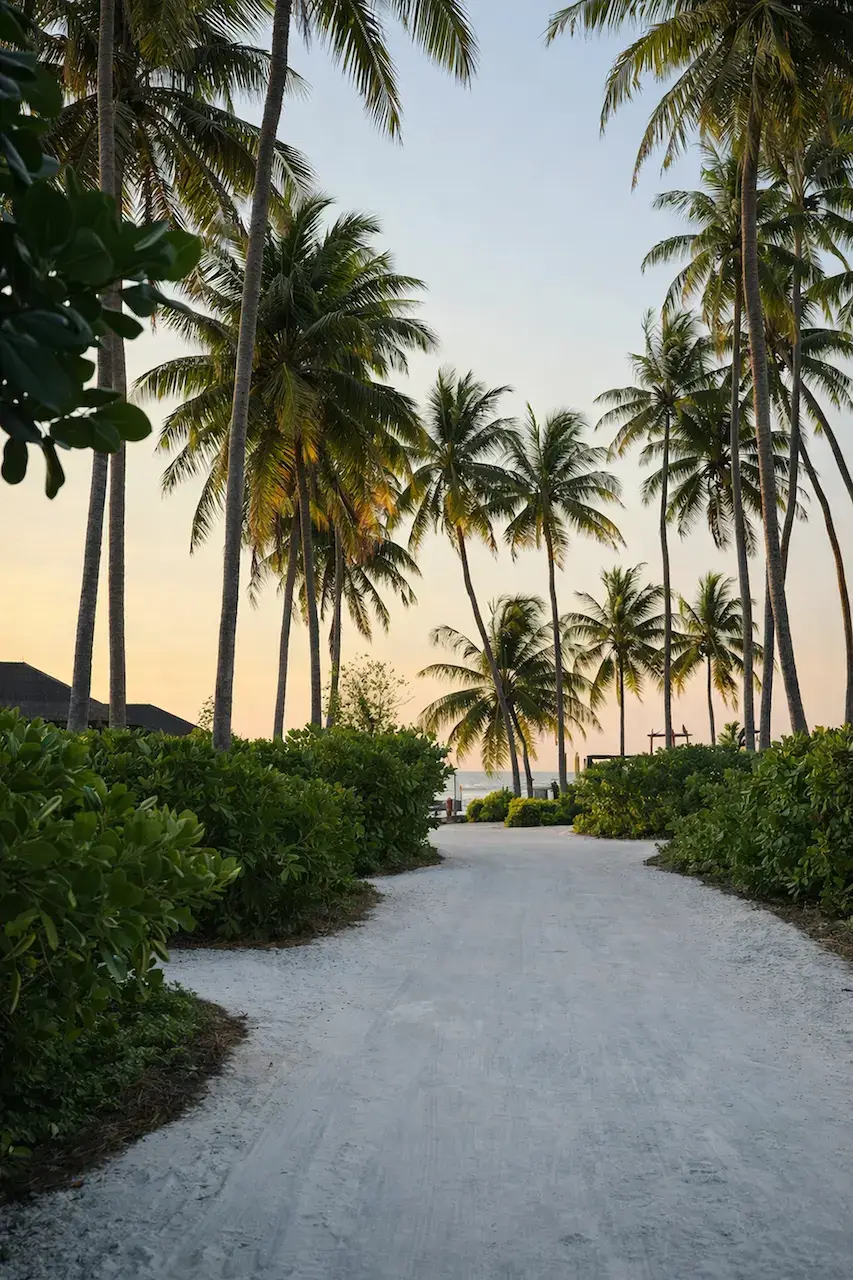 CGI vs AI: Choosing the Right Visual Strategy for Marketing Campaigns tropical sandy path lined with tall palm trees leading to ocean at sunset, cgi vs ai difference between cgi and ai visual