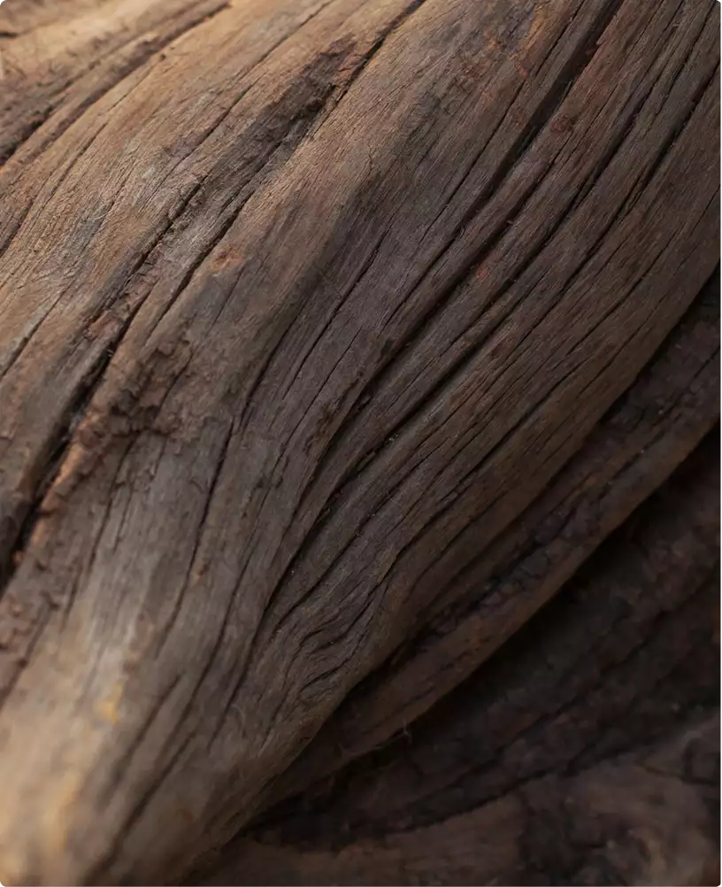 Modern contemporary house exterior style natural wood texture with rough weathered grain pattern