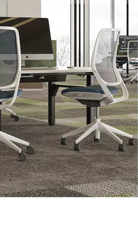 360 panorama rendering detail of an office workspace with mesh chairs, desks, computers, and patterned carpet