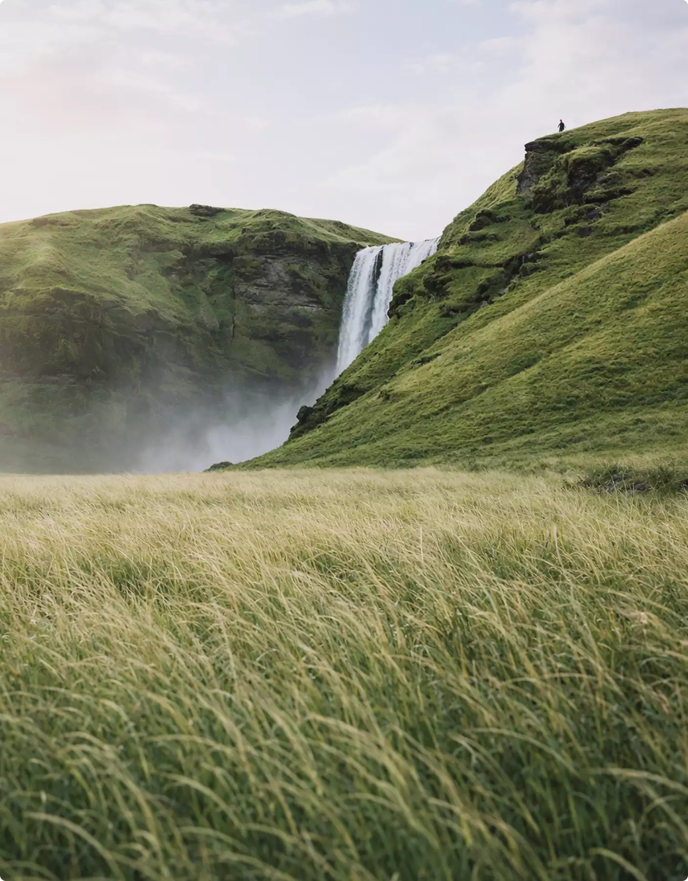 Landscape Rendering Support Worldwide