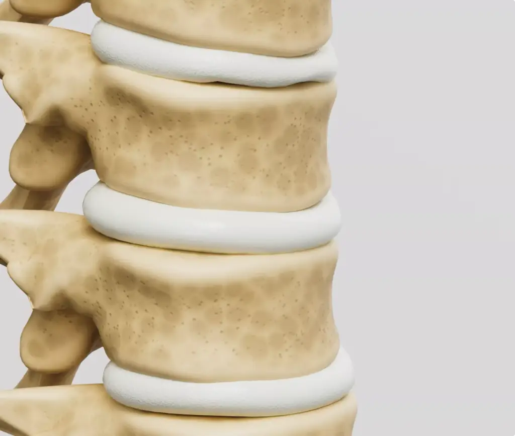 Animation for Medical Education showing lumbar spine vertebrae and intervertebral discs
