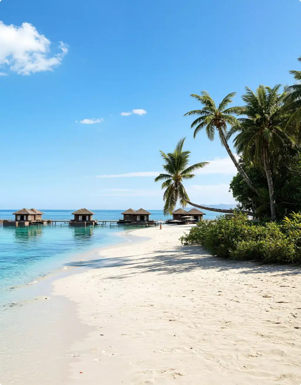 Tropical beach with overwater villas and palms, Site Plan and Aerial Rendering Services