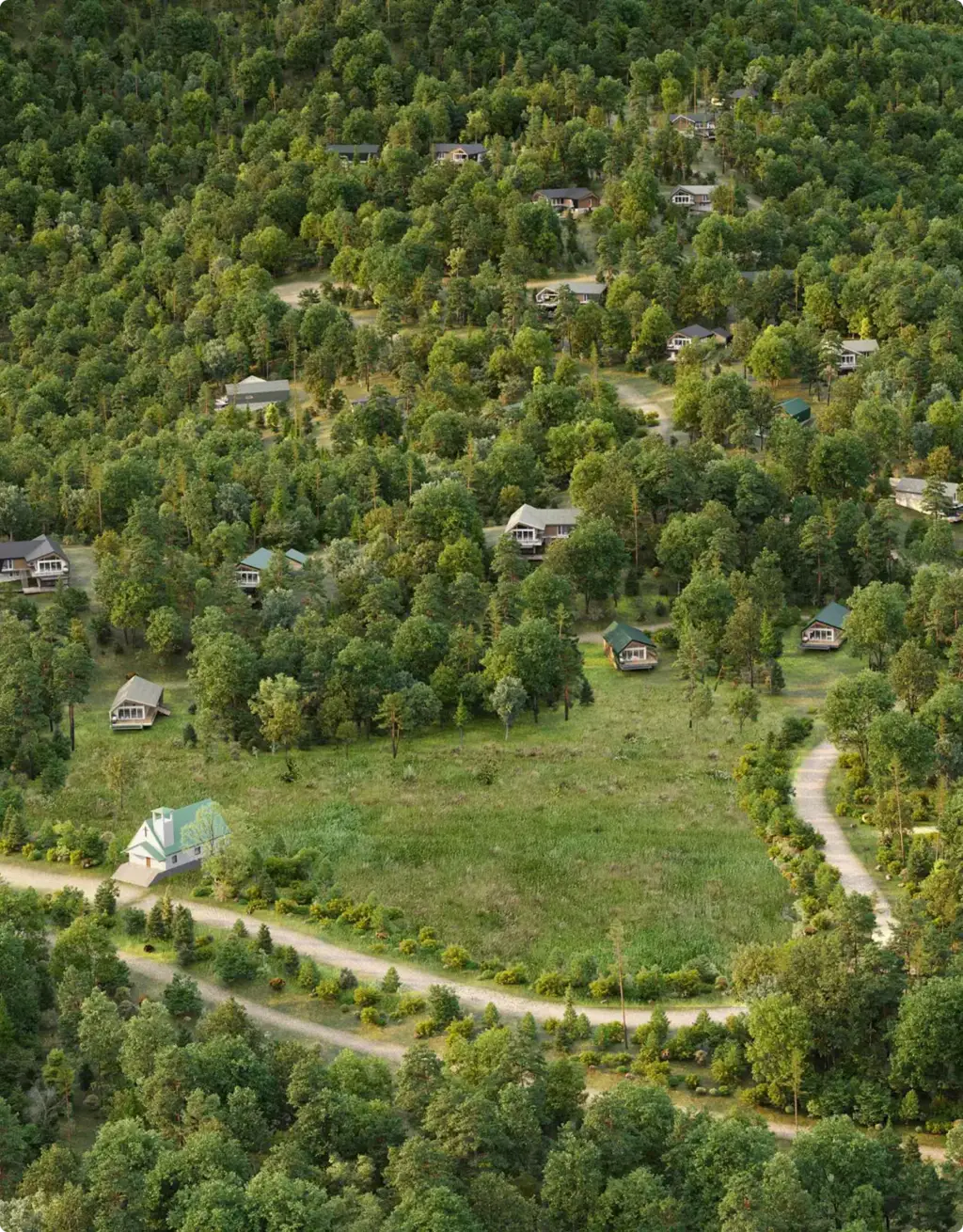 Forest cabin community with winding roads, Site Plan and Aerial Rendering Services