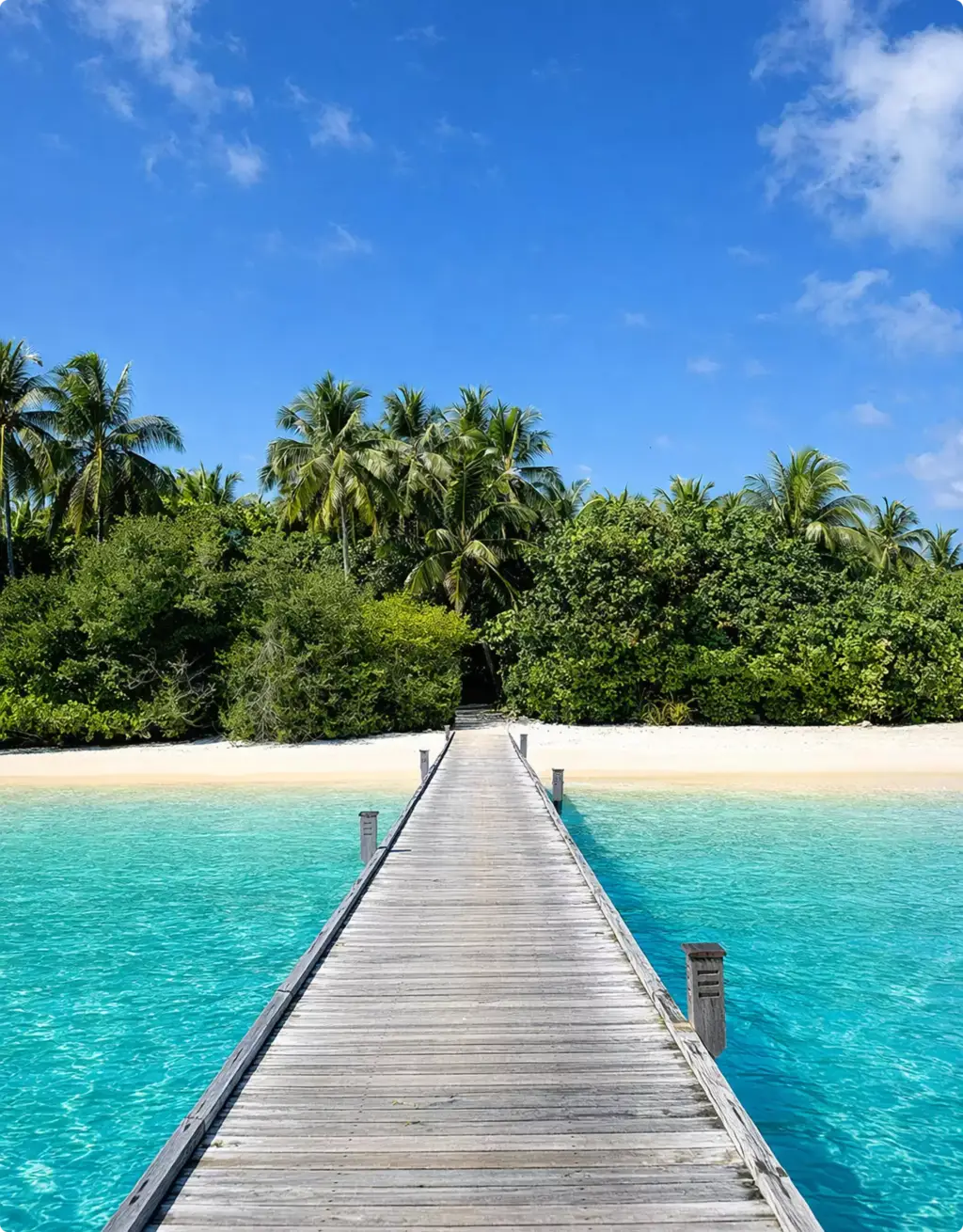 Wooden pier leading to tropical beach and palms, Site Plan and Aerial Rendering Services