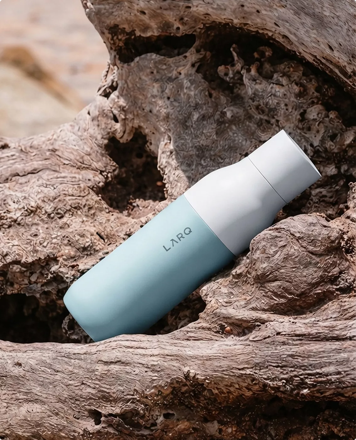 White and mint LARQ bottle visualization resting among textured driftwood outdoors